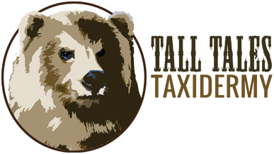 Tall Tales Taxidermy